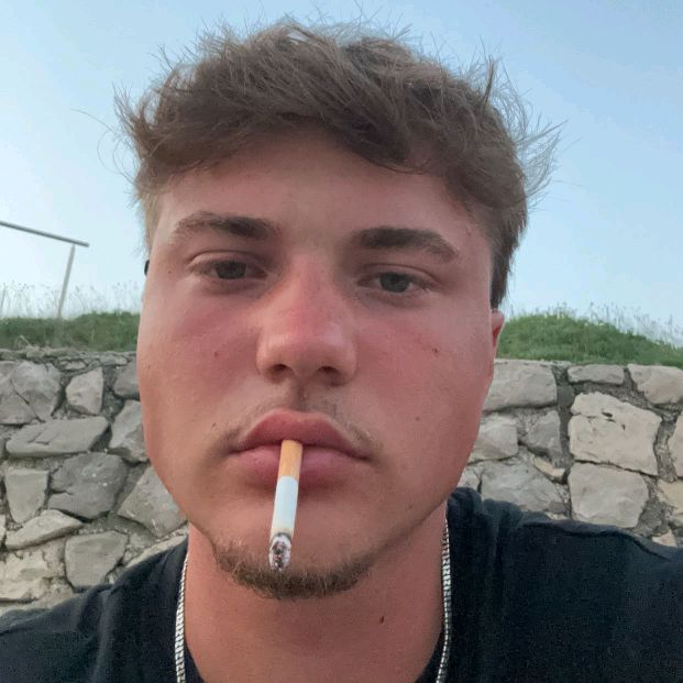 Profile Picture of David Maier (@davidmairr) on Tiktok