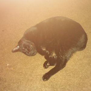 Profile Picture of Mark Gunter (@mgunter056) on Twitter