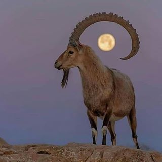 Profile Picture of Jeff Ohrt (@jeff.ohrt.9) on Facebook