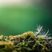 Profile Picture of Nathan Krell (@Nathan-Krell) on Facebook