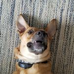 Profile Picture of Andrew Gillilan (@firebert81) on Instagram