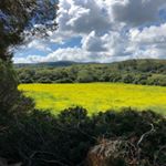 Profile Picture of Pablo H Lehmann (@pablohlehmann) on Instagram