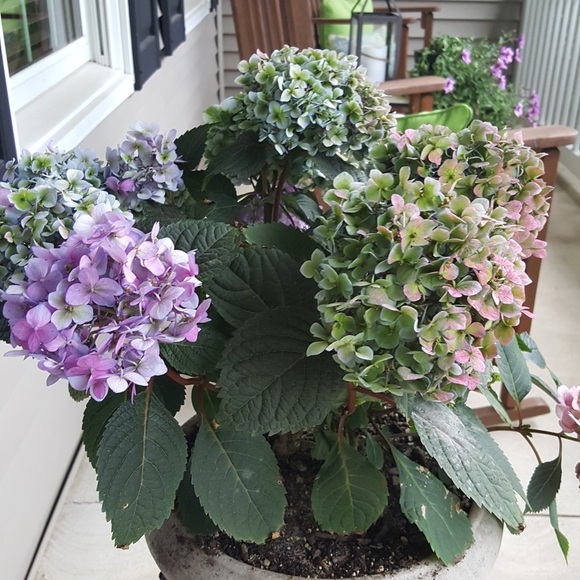 Profile Picture of Kelley Brozena (@kbrozena) on Poshmark