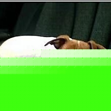 Profile Picture of Lynnette Roberson (@biggnette) on Myspace