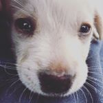 Profile Picture of John Paulraj (@muthu_and_i) on Instagram