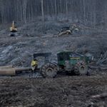 Profile Picture of Dustin Rowe (@dustin_rowe_948l2) on Instagram