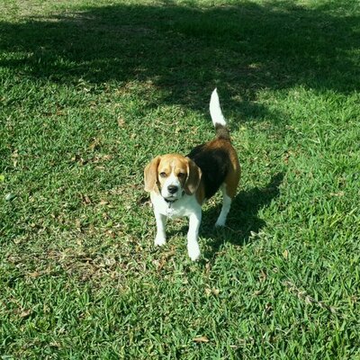 Profile Picture of Edwin Quijano (@emqcedwin) on Twitter