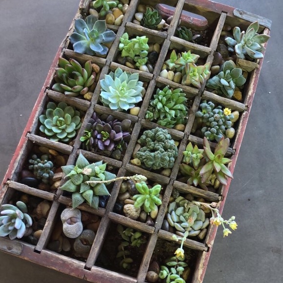 Profile Picture of Karlee Kohler (@queerkid18) on Poshmark