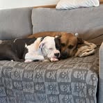 Profile Picture of Carter Berkley (@carter.berkley.7) on Facebook