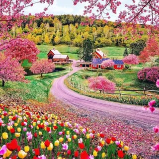 Profile Picture of Stepheny Case (@stephenycase) on Instagram