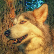 Profile Picture of Andy Main (@AndyMain) on Youtube