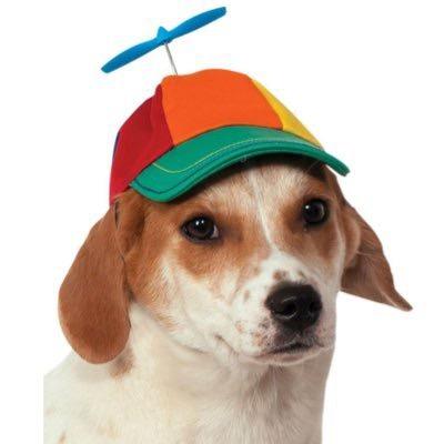 Profile Picture of sheridan (@curbtrash) on Tiktok