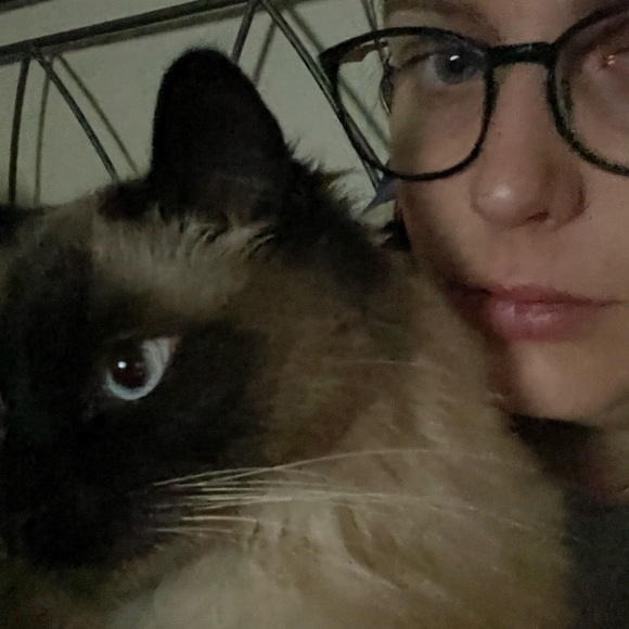 Profile Picture of E Quinn (@bohl3297) on Poshmark