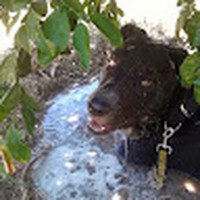 Profile Picture of Alejo Ortiz (@alejo-ortiz-12) on Quora