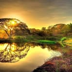 Profile Picture of Tiffany Carlson (@Tiffany-Carlson) on Facebook