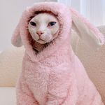 Profile Picture of James Askey (@shmamzy_) on Instagram