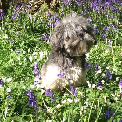 Profile Picture of Nicky Hackett (@NicolaHackett01) on Twitter