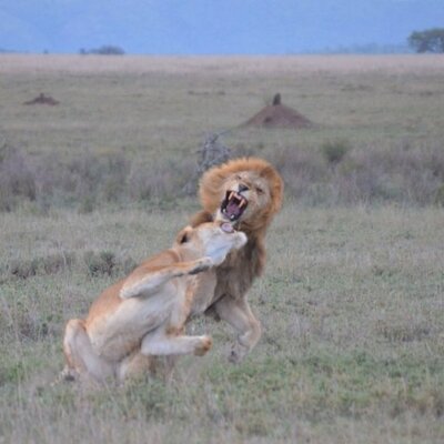 Michael McCauley - Twitter Profile Picture of Michael McCauley (@mctravel1) on Twitter