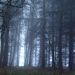 Profile Picture of Chaz Hudson (@hudson2629) on Pinterest