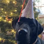 Profile Picture of Shawna Sitton (@shawna.sitton.7) on Facebook