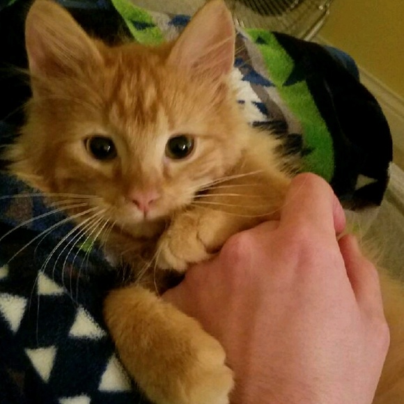 Profile Picture of Jordan Strittmater (@jordanmstrit) on Poshmark