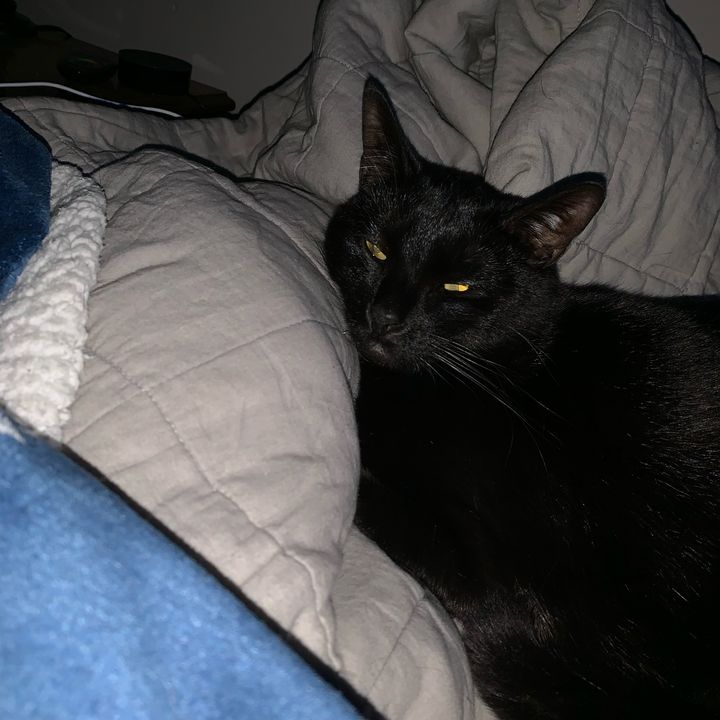 Profile Picture of 𝙰𝚜𝚊 𝚃𝚑𝚘𝚖𝚊𝚜 (@derverse) on Tiktok