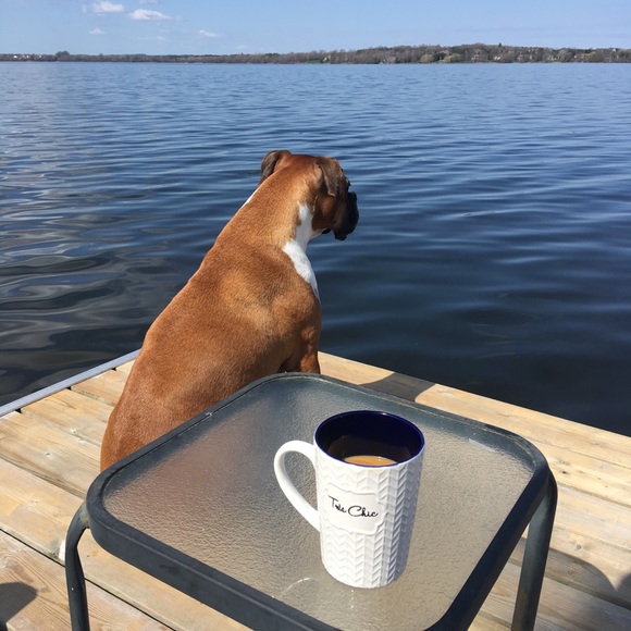 Profile Picture of Lori Pilotte (@elect0511) on Poshmark