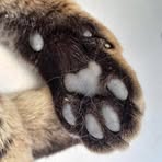 Charles Keith - Facebook Profile Picture of Charles Keith (@Charles-Keith) on Facebook