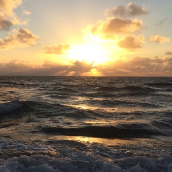 Profile Picture of Raquel Teixeira (@raquelt7832) on Poshmark