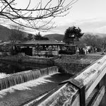 Profile Picture of Jireh (@yaotsai) on Instagram