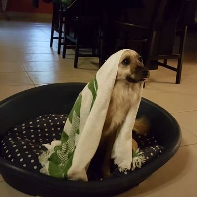 Profile Picture of Il Corsaro Nero. (@JimmyMark1965) on Twitter