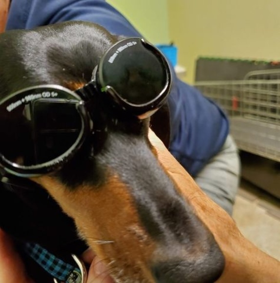 Profile Picture of Linnae Vanalstine (@linnae948) on Poshmark