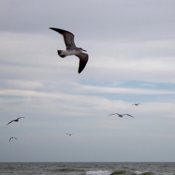 Profile Picture of Christi Fimbel (@cmfimbel) on Poshmark