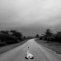 Profile Picture of Emily_chou (@Emilychou12) on Twitter