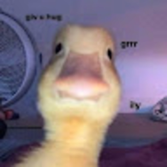 Profile Picture of Payton Walko (@0814pgw) on Poshmark