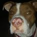 Profile Picture of Christopher McFadden (@christopher.mcfadden.1806) on Facebook