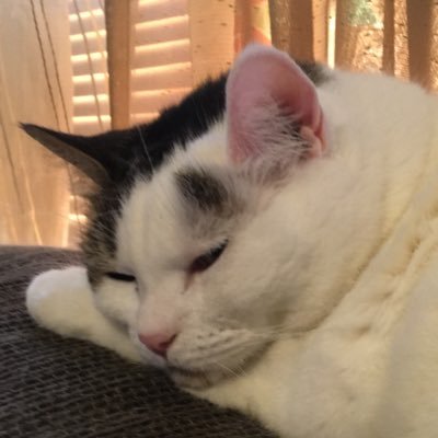 Profile Picture of Anya Marie Dobson (@tiemann_anne) on Twitter
