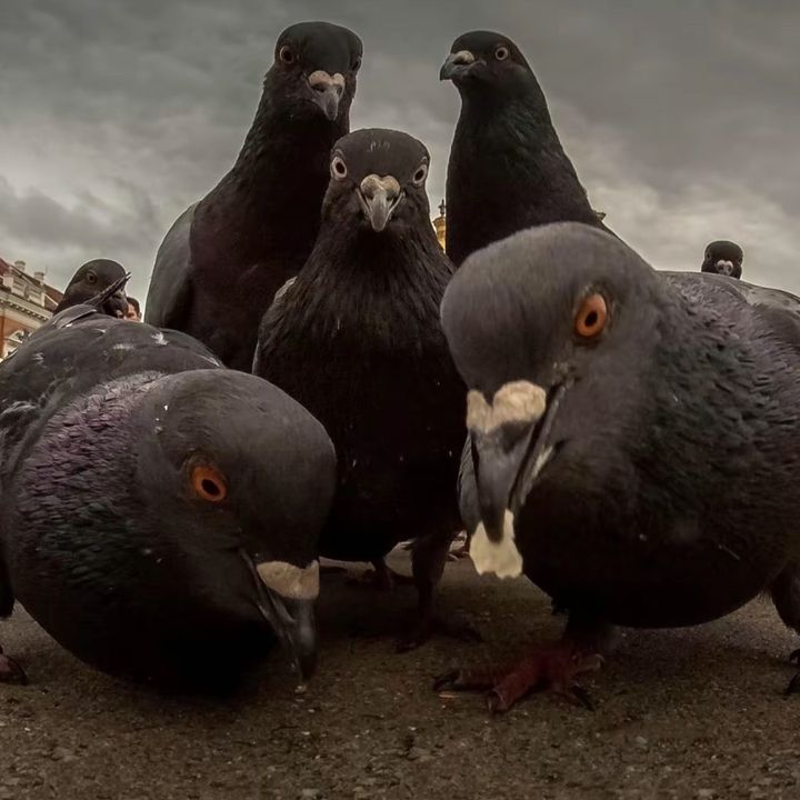 Profile Picture of Adam (@adam.3rfani) on Tiktok