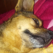 Profile Picture of Robert Gonzalez (@robertgonzalez4839) on Youtube