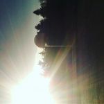 Profile Picture of john viveiros (@joaovivieros182) on Instagram