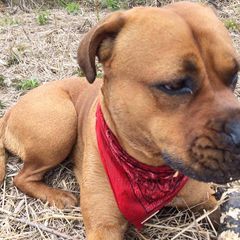 Profile Picture of Jessie Mcleod947 (@jessiemcleod3) on Tiktok