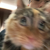 Profile Picture of Woo Chung (@woochung440) on Youtube