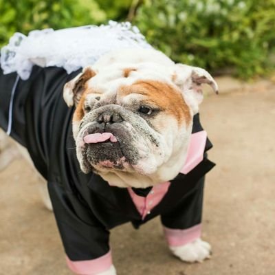 Profile Picture of Fran Miles (@Amandamick1) on Twitter