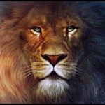 Profile Picture of Benigno Perez (@benigno.perez.524) on Instagram