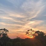 Profile Picture of Brandon Hannah Harvath (@edensbranch) on Instagram