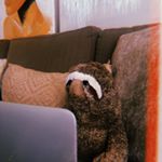 Profile Picture of Larry da Derpy Slothy (@larrydaderpyslothy) on Instagram