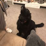 Profile Picture of Mandy Wade (@mandy.wade.52) on Instagram