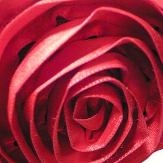 Profile Picture of Tamara Calhoun (@tamara.calhoun.754) on Facebook