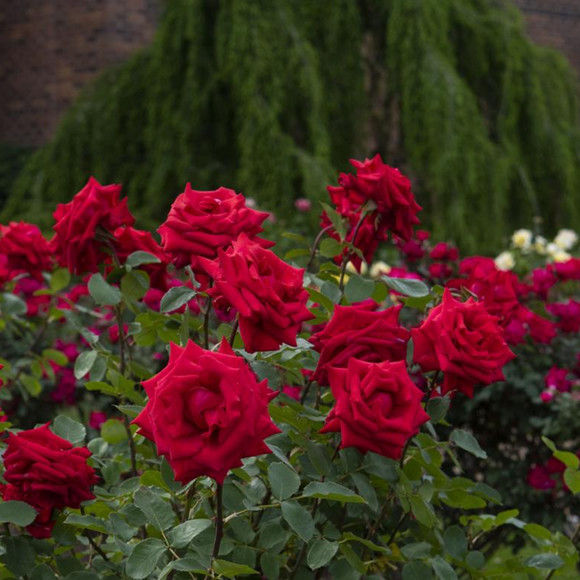 Profile Picture of Jessica Decatrel (@jsd39720) on Poshmark