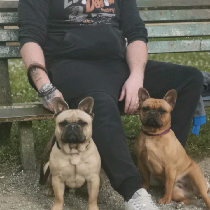 Profile Picture of Christopher Cloarec (@@christophercloare) on Tiktok